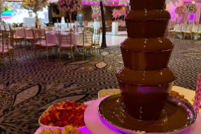 The Chocolate Fanatics  Chocolate Fountain Hire Profile 1