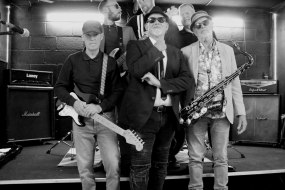 Ska Train Wedding Band Hire Profile 1