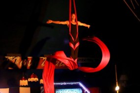 Aerialism Circus