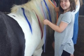 Therapeutic Equine Assisted Learning CIC Educational Entertainers Profile 1