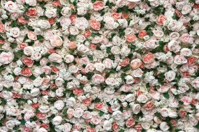 Blooming Fabulous Flowers Event Decor Flower Wall Hire Profile 1