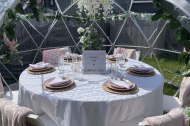 Dining Igloo Hire