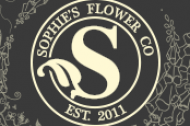 Sophie Cullumbine t/a Sophie's Flower Company undefined Profile 1