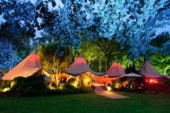 The Stunning Tents Company