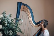 My fabulous new electro-acoustic harp