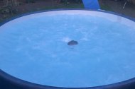 Garforth Hot Tub Hire