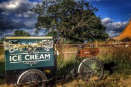 Plum Honeychurch & Her Ice Cream Tricycle