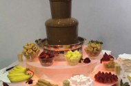 Fantasy Chocolate Fountains undefined Profile 1