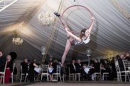 Aerial Hoop