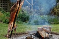 The Argentine Barbecue Company