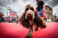 English Half Marathon 