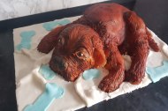 Doggy cake