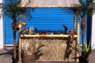 Bamboo Tikki Bar for hire