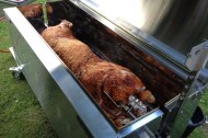 Kent Piggy Roast