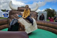 Rodeo Bull @Carnival