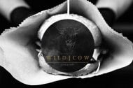 wildcow  undefined Profile 1