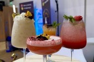 Exotic Fruits and Cocktails 