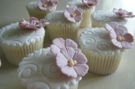 Molly's Delightful Cupcakes!