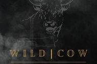 wildcow  undefined Profile 1