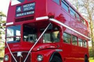 Red Bus Events undefined Profile 1