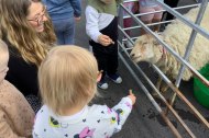 Kids and adults alike will love getting up close and personal with the smallest sheep in the world!