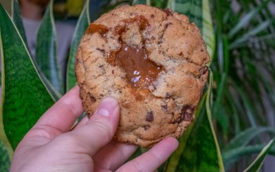 Dark chocolate, vanilla, pecan and salted caramel cookie.