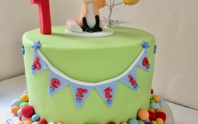 First Birthday Cakes 