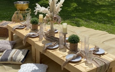 Bridal Shower Luxury Picnic