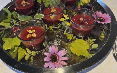 Beetroot gazpacho 