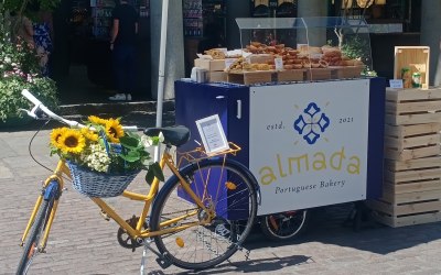 Bike trailer set up