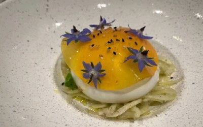 Burrata with fennel salad, orange jelly and sesame seeds