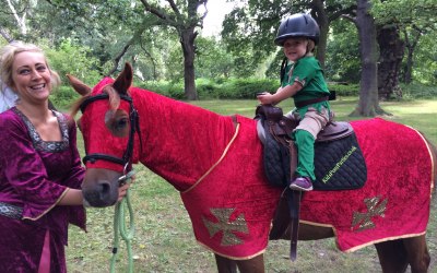 Red Knight & Robin Hood Pony Party