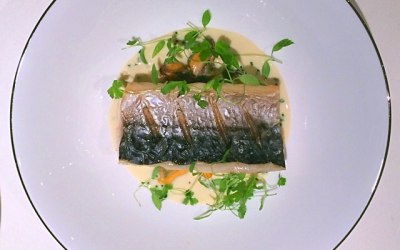 Mackerel, moules marinieres