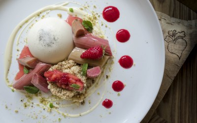 Vanilla Panna Cotta & Rhubarb