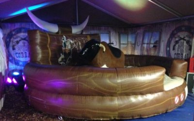 Rodeo Bull