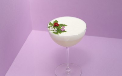 Perfect Cocktails at your event