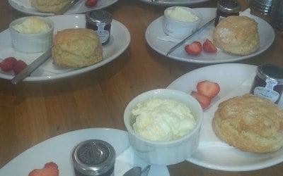 Cream Tea Anyone??