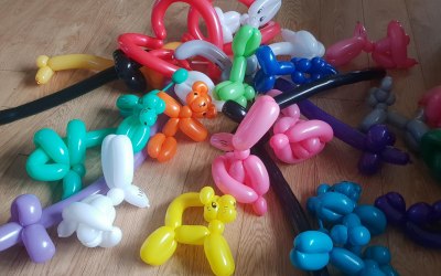 Harry's Balloon Modelling  1