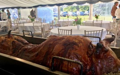 marquee hog roast