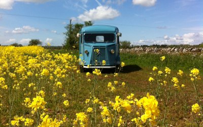 A Quiet Spot near Cirencester