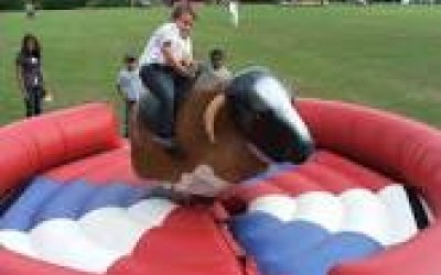 Rodeo Bull Hire in Cumbria