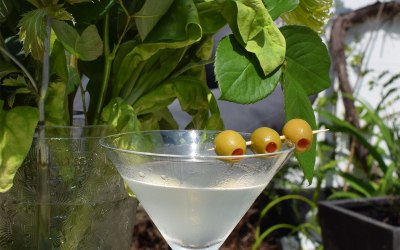 The Original Dirty Martini