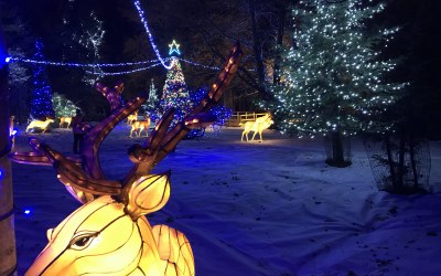 Longleat Festival of Light - Grotto