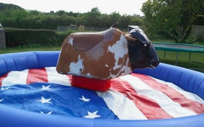 Rodeo bull hire