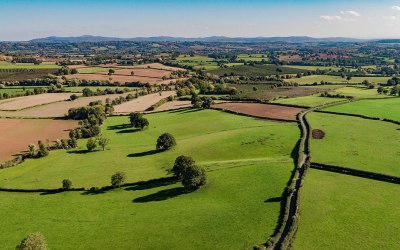 Countryside