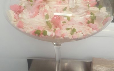 Rhubarb Mess