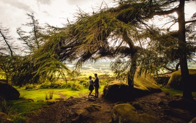 Engagement pictures 