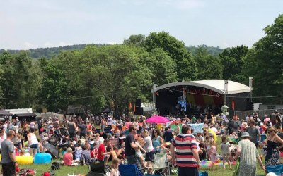 Elderflower Fields 2018