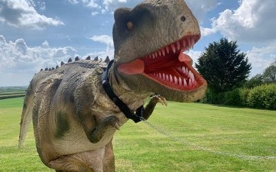 Giant dinosaur hire