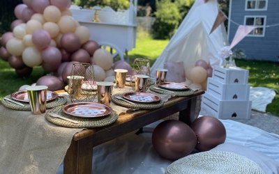 Picnic Setup